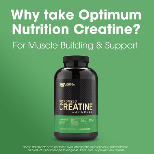 OPTIMUM NUTRITION - Micronised Creatine Powder