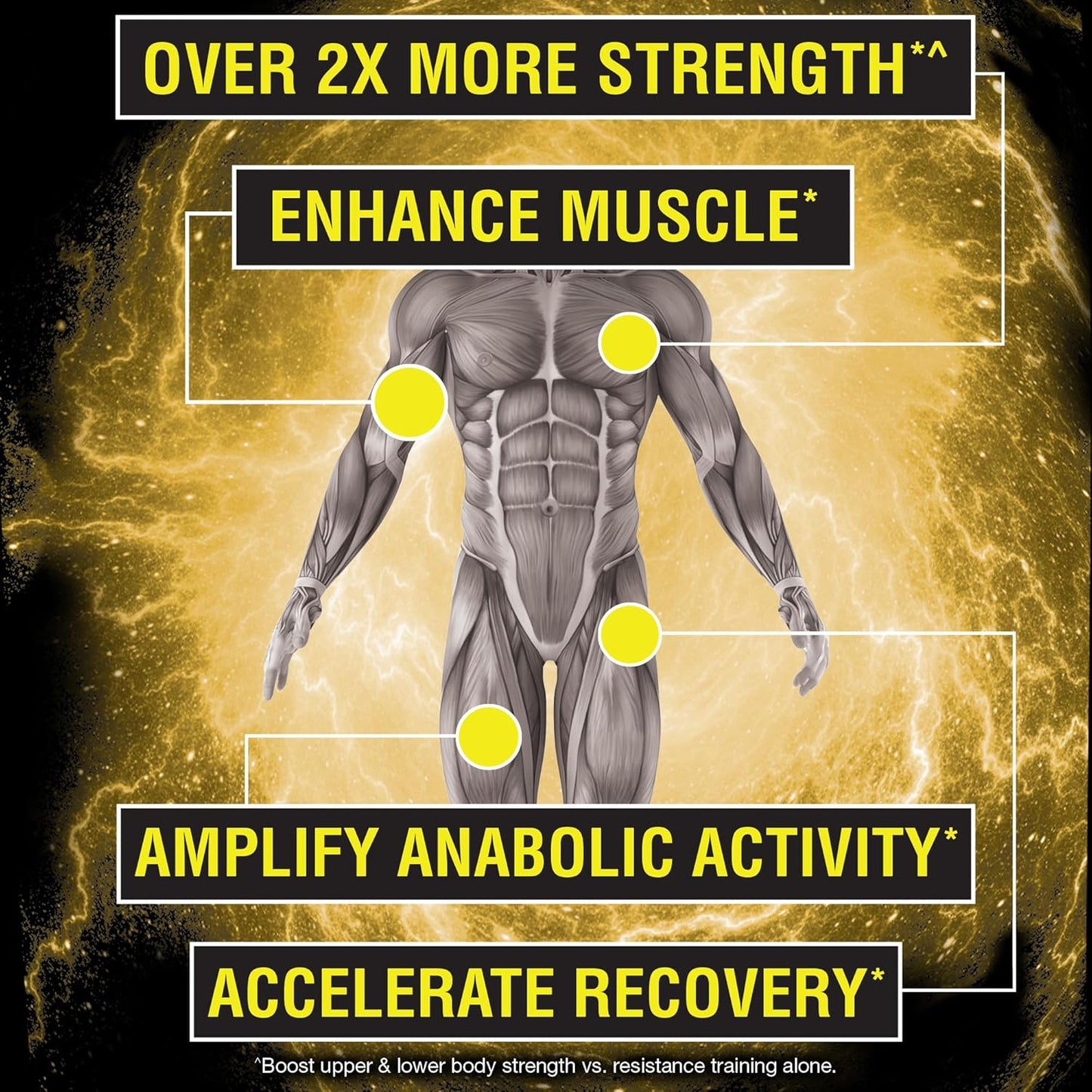 Nugenix Catalyst – Muscle Builder & Recovery Support – 90 Caps