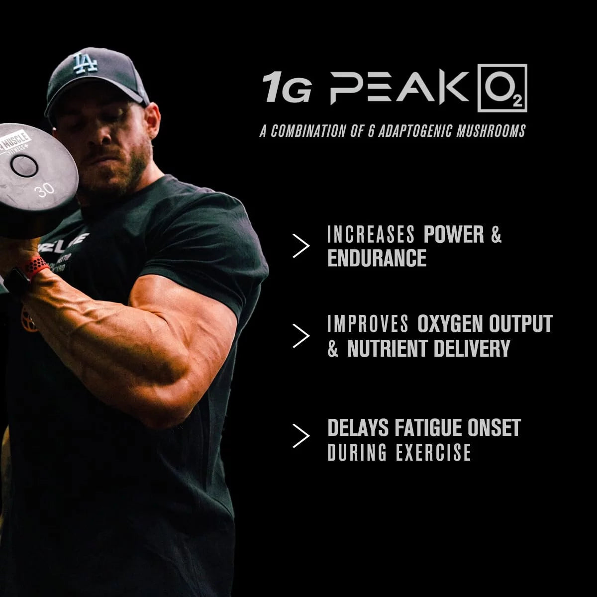 Jacked Factory - Build XT - Muscle Builder w/ PeakO2® & ElevATP®