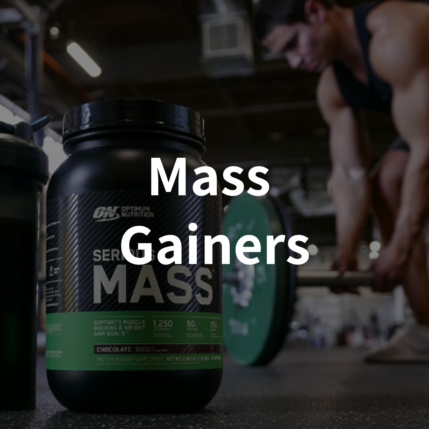 Mass Gainers