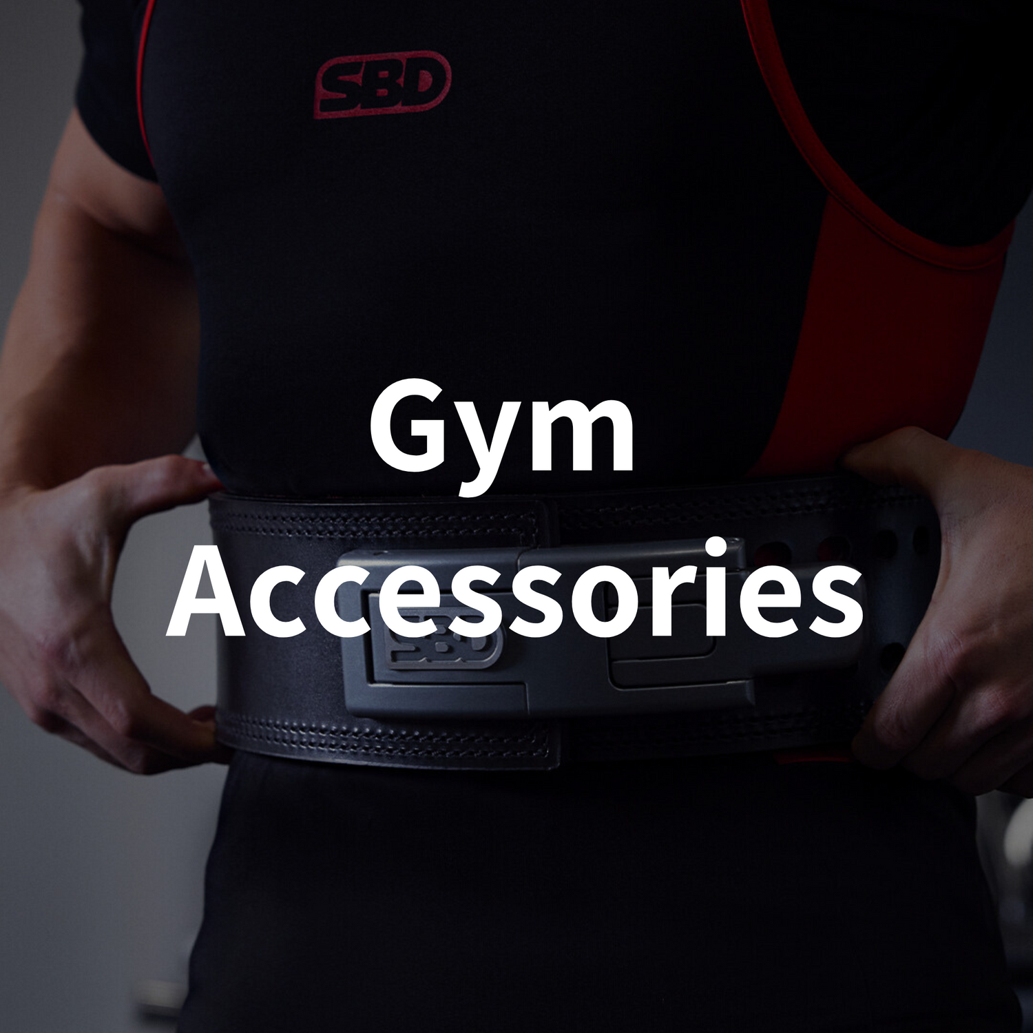 Gym Accessories