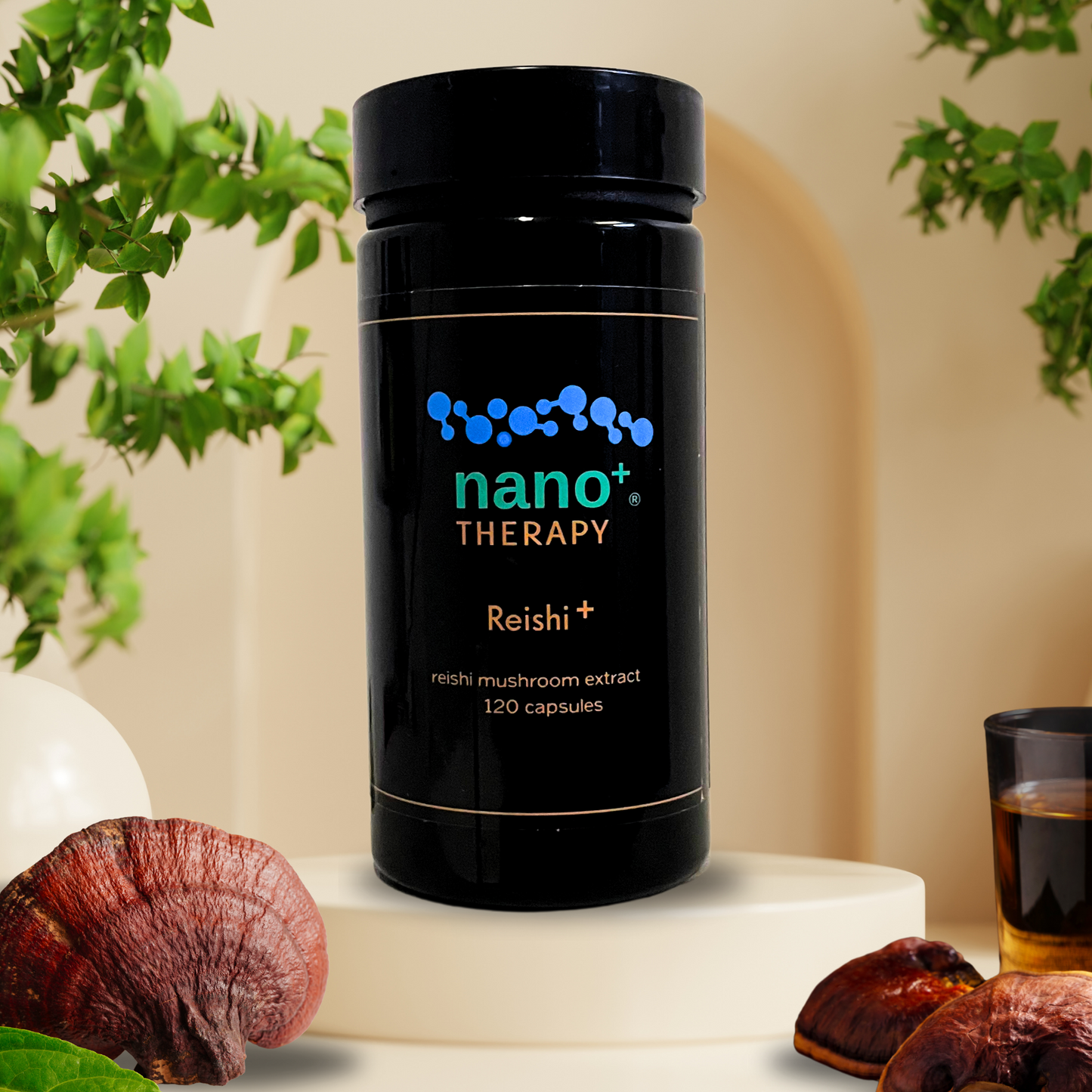 Nano+ Therapy - Reishi Mushroom Extract - Organic Natural Immunity Aid & Stress Relief - 120 Capsules