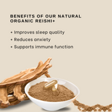 Nano+ Therapy - Reishi Mushroom Extract - Organic Natural Immunity Aid & Stress Relief - 120 Capsules