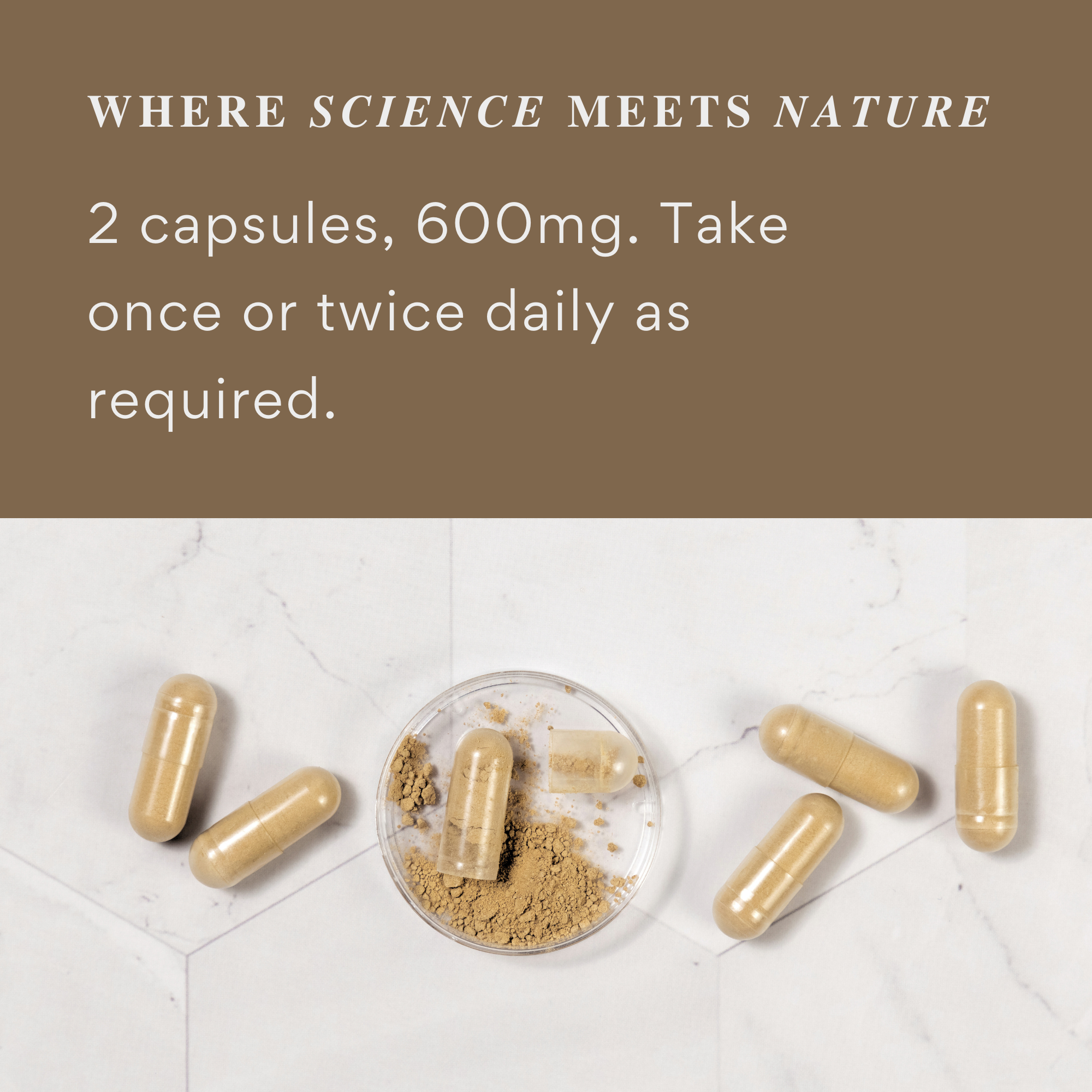 Nano+ Therapy - Reishi Mushroom Extract - Organic Natural Immunity Aid & Stress Relief - 120 Capsules