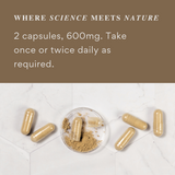 Nano+ Therapy - Reishi Mushroom Extract - Organic Natural Immunity Aid & Stress Relief - 120 Capsules