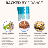Relax+ Gummies with Sensoril Ashwagandha by Gummy Lab
