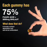 Pure Himalayan Shilajit Gummies Gold Lab Tested