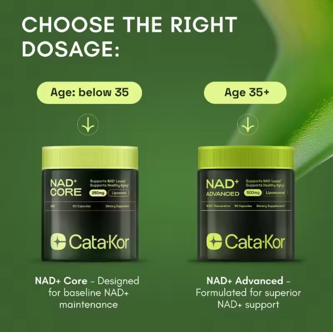 Cata-Kor Liposomal NAD+ CORE 250mg - 30 Day Supply