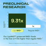 Cata-Kor Liposomal NAD+ Advanced 500mg - 30 Day Supply