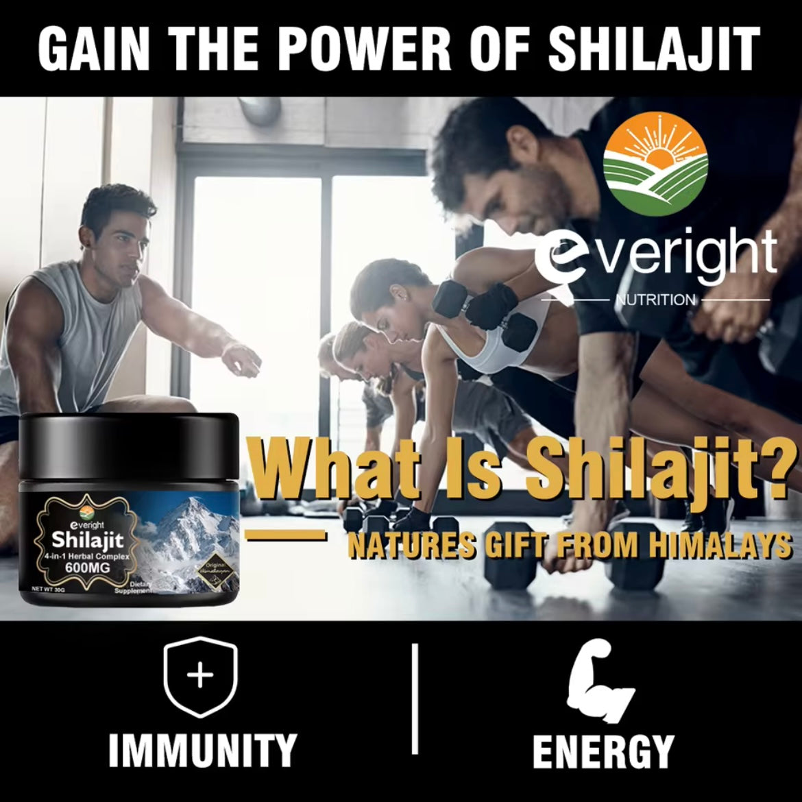 Everight Shilajit Resin with Fulvic Acid 600mg - 30g