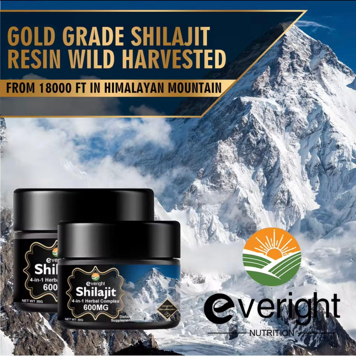 Everight Shilajit Resin with Fulvic Acid 600mg - 30g