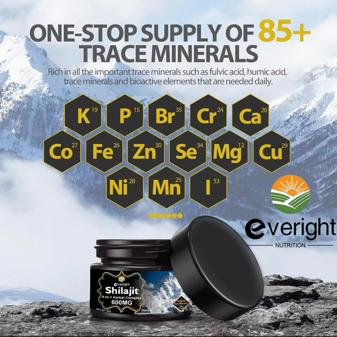 Everight Himalayan Shilajit Resin & Shilajit Capsule Twin Pack