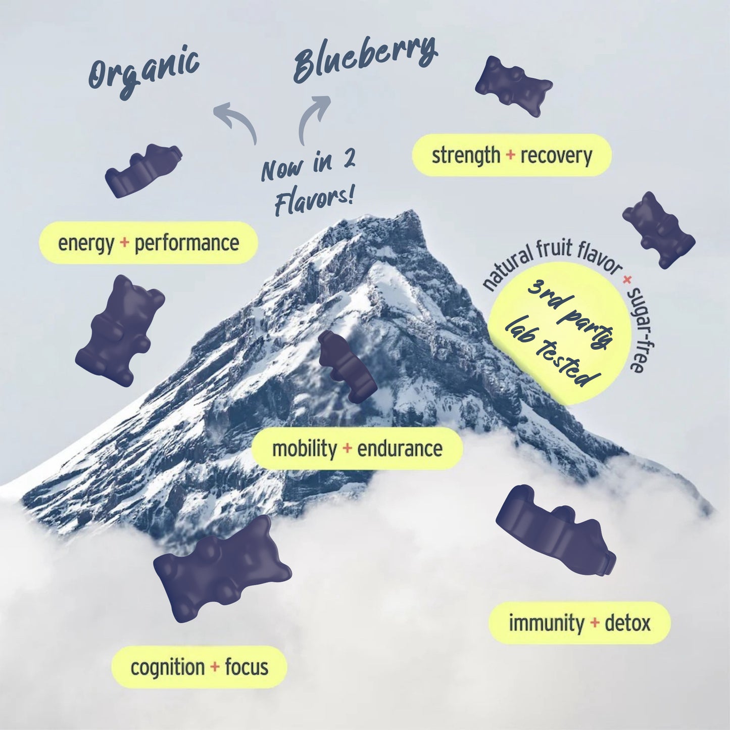 Pure Himalayan Shilajit Gummies Gold Graded Shilajit Lab Tested