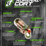 Adrenal-Cort by Athletic Sport