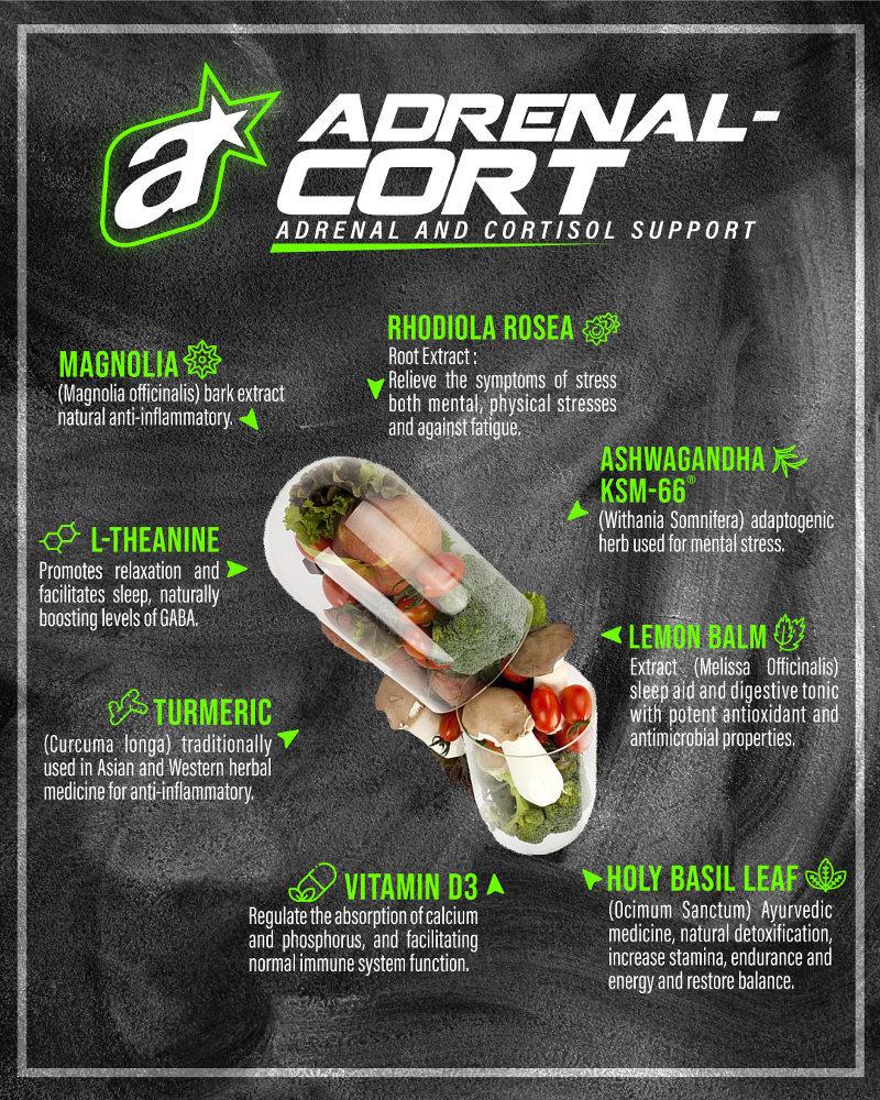 Adrenal-Cort by Athletic Sport