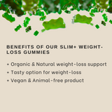 FAT BURNER GUMMIES GREEN TEA EXTRACT by The Gummy Lab