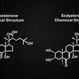 Disruptive Team - Turkestrone TESTOSTERONE BOOSTER 500mg (60 Servings)