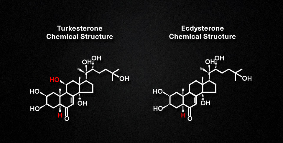 Disruptive Team - Turkestrone TESTOSTERONE BOOSTER 500mg (60 Servings)