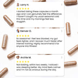 BetterAlt - Irish Sea Moss - 120 Capsules