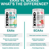 Scivation Xtend EAA - Essential Amino Acid's - 40 Serves